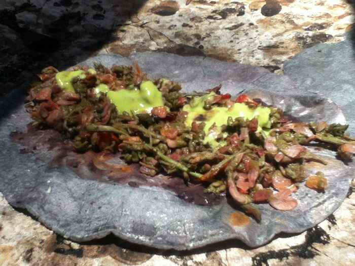 Oaxacan Guacamole recipe